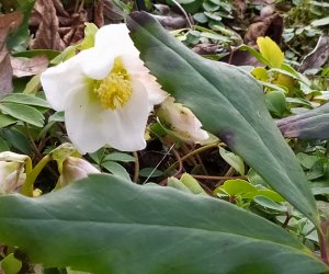 Codziennik Muzealny - Wiosna już zawitała Codziennik Muzealny - Wiosna już zawitała