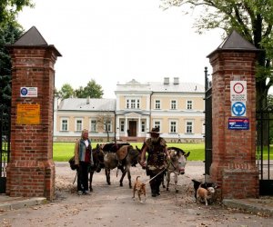 W drodze do Mongolii... W drodze do Mongolii...