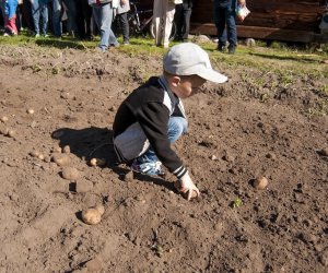 JESIEŃ W POLU I ZAGRODZIE w ramach Europejskich Dni Dziedzictwa 18 września 2016 r. JESIEŃ W POLU I ZAGRODZIE w ramach Europejskich Dni Dziedzictwa 18 września 2016 r.