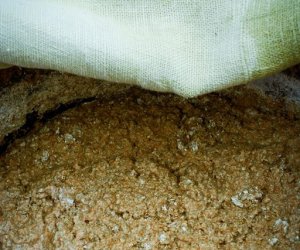 XVIII Podlaskie Święto Chleba - fotorelacja XVIII Podlaskie Święto Chleba - fotorelacja