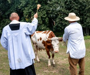 XXI Podlaskie Święto Chleba - fotorelacja XXI Podlaskie Święto Chleba - fotorelacja
