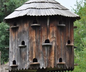 Inwentaryzacja drewnianej architektury Inwentaryzacja drewnianej architektury