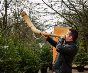 Galeria z 5 grudnia 2015 Galeria z 5 grudnia 2015