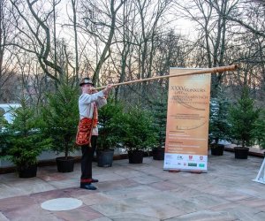 Galeria z 5 grudnia 2015 Galeria z 5 grudnia 2015