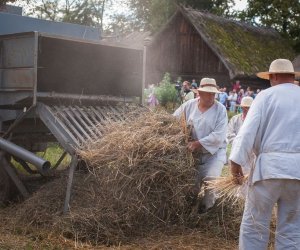 XVIII Podlaskie Święto Chleba - fotorelacja XVIII Podlaskie Święto Chleba - fotorelacja