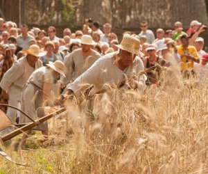 Święto Chleba po raz trzynasty Święto Chleba po raz trzynasty
