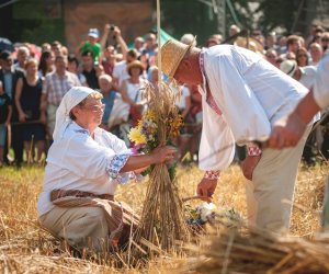 XIX Podlaskie Święto Chleba - fotorelacja XIX Podlaskie Święto Chleba - fotorelacja