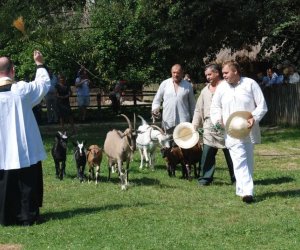 IX Podlaskie Święto Chleba IX Podlaskie Święto Chleba