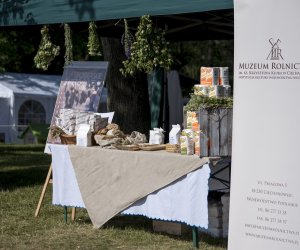 Piknik "Poznaj Zdrową Żywność" - fotorelacja