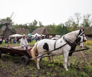 Impreza plenerowa - Jesień w Polu i Zagrodzie