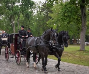 Noc Muzeów 2019 - fotorelacja Noc Muzeów 2019 - fotorelacja