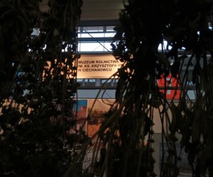 Narodowa Wystawa Rolnicza w Poznaniu Narodowa Wystawa Rolnicza w Poznaniu