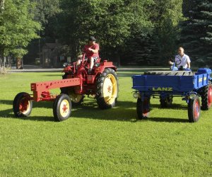 Wyglądają przepięknie Wyglądają przepięknie
