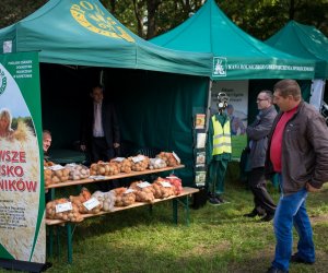 Impreza plenerowa - Jesień w Polu i Zagrodzie Impreza plenerowa - Jesień w Polu i Zagrodzie