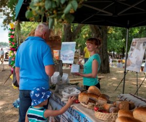 Muzeum na Pikniku Poznaj Dobrą Żywność Muzeum na Pikniku Poznaj Dobrą Żywność