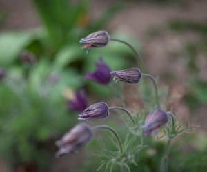 Codziennik Muzealny - Wiosna w ciechanowieckim muzeum Codziennik Muzealny - Wiosna w ciechanowieckim muzeum