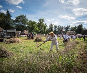 XVIII Podlaskie Święto Chleba - fotorelacja XVIII Podlaskie Święto Chleba - fotorelacja