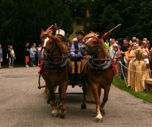 V Zajazd Wysokomazowiecki V Zajazd Wysokomazowiecki