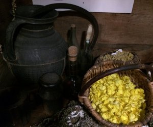 Niecodziennik Muzealny - Gdzie rośnie dziewanna ... Niecodziennik Muzealny - Gdzie rośnie dziewanna ...