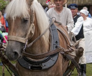XVI Podlaskie Święto Chleba XVI Podlaskie Święto Chleba