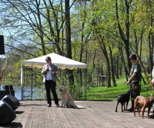 Galeria - 2012 Galeria - 2012