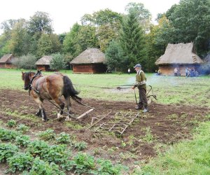Wykopki w skansenie podsumowanie, fotorelacja. Wykopki w skansenie podsumowanie, fotorelacja.