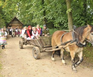 Wykopki w skansenie podsumowanie, fotorelacja. Wykopki w skansenie podsumowanie, fotorelacja.