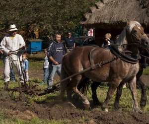 JESIEŃ W POLU I ZAGRODZIE w ramach Europejskich Dni Dziedzictwa 18 września 2016 r. JESIEŃ W POLU I ZAGRODZIE w ramach Europejskich Dni Dziedzictwa 18 września 2016 r.