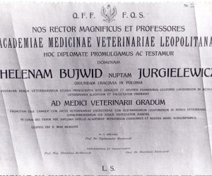 NIECOdziennik Muzealny - Helena Jurgielewiczowa (1897-1980) – lekarz medycyny weterynaryjnej i oficer Wojska Polskiego NIECOdziennik Muzealny - Helena Jurgielewiczowa (1897-1980) – lekarz medycyny weterynaryjnej i oficer Wojska Polskiego