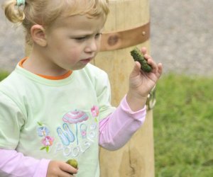 Wykopki w skansenie podsumowanie, fotorelacja. Wykopki w skansenie podsumowanie, fotorelacja.