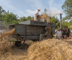 XX Podlaskie Święto Chleba - fotorelacja XX Podlaskie Święto Chleba - fotorelacja
