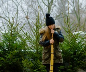 Galeria z 6 grudnia 2014