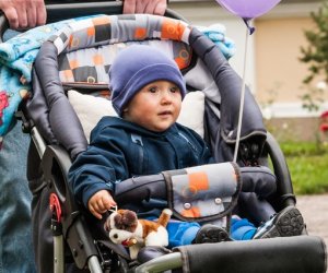 Wykopki w Skansenie 2013 Wykopki w Skansenie 2013