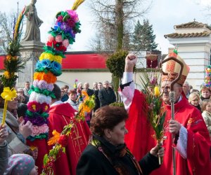 Galeria - Niedziela Palmowa 2015 Galeria - Niedziela Palmowa 2015