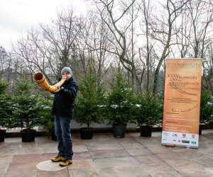 Galeria z 5 grudnia 2015 Galeria z 5 grudnia 2015