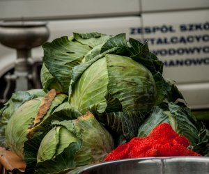 Jesień w polu i zagrodzie Jesień w polu i zagrodzie