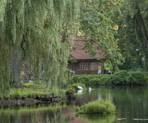 XVI Podlaskie Święto Chleba XVI Podlaskie Święto Chleba