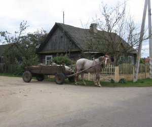Międzynarodowa konferencja w Mińsku Białoruskim Międzynarodowa konferencja w Mińsku Białoruskim