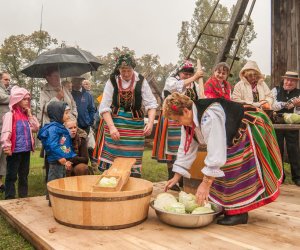 Wykopki w Skansenie 2013 Wykopki w Skansenie 2013