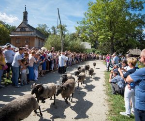 XVIII Podlaskie Święto Chleba - fotorelacja XVIII Podlaskie Święto Chleba - fotorelacja
