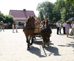 IX Podlaskie Święto Chleba IX Podlaskie Święto Chleba
