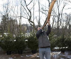 LIGAWKI 2016 - Fotorelacja z konkursu