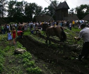 Wykopki w skansenie 2009