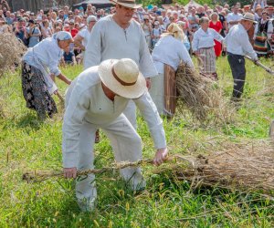 XXII Podlaskie Święto Chleba - fotorelacja XXII Podlaskie Święto Chleba - fotorelacja