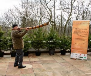 Galeria z 5 grudnia 2015 Galeria z 5 grudnia 2015