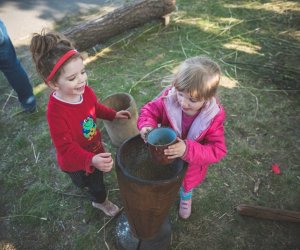 Piknik "Poznaj dobrą żywność" 2019 - fotorelacja Piknik "Poznaj dobrą żywność" 2019 - fotorelacja