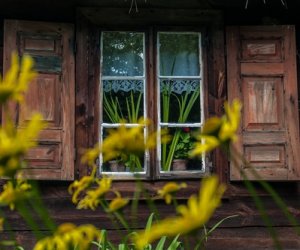 Siedem tygodni po Wielkanocy Siedem tygodni po Wielkanocy