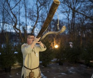 LIGAWKI 2016 - Fotorelacja z konkursu LIGAWKI 2016 - Fotorelacja z konkursu