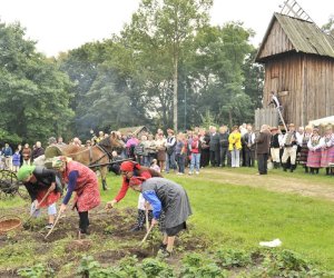Wykopki w skansenie podsumowanie, fotorelacja. Wykopki w skansenie podsumowanie, fotorelacja.