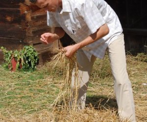 IX Podlaskie Święto Chleba IX Podlaskie Święto Chleba